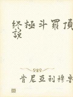 终极斗罗顶点小说