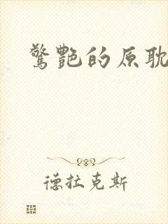 惊艳的原耽小说封面