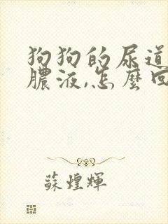 狗狗的尿道口有脓液,怎么回事儿?封面