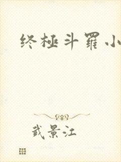 终极斗罗小说封面