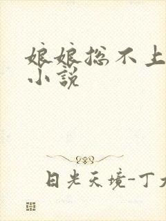 娘娘总不上进的小说
