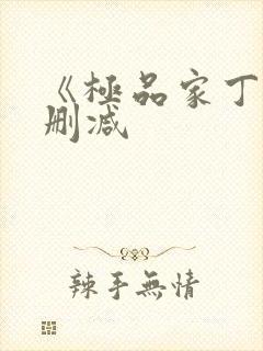 《极品家丁》无删减