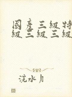 国产三级特黄a级三级三级