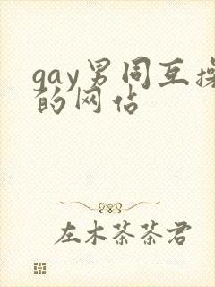 gay男同互操的网站封面