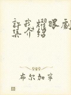 许我耀眼剧情分集介绍