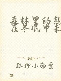 森林里的熊先生在冬眠中未增减版封面