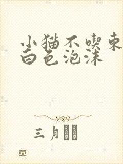 小猫不吃东西吐白色泡沫