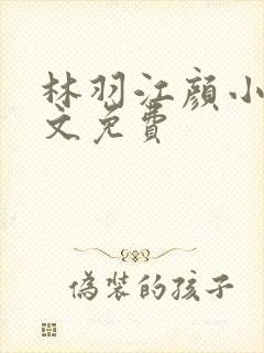 林羽江颜小说全文免费封面