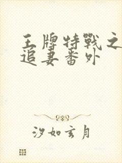 王牌特战之军少追妻番外封面