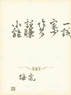 小说作家一个月能赚多少钱