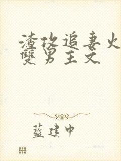 渣攻追妻火葬场双男主文