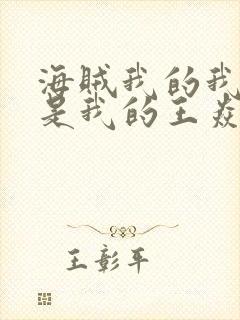 海贼我的我的都是我的王焱炎小说