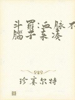 斗罗:血脉不够脑子来凑