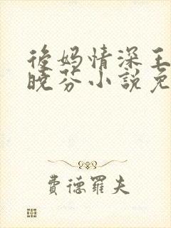 后妈情深王磊杨晓芬小说免费阅读全文