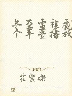 冬至电视剧在哪个平台播放