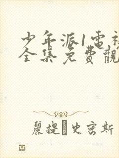 少年派1电视剧全集免费观看