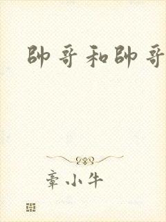 帅哥和帅哥互操封面