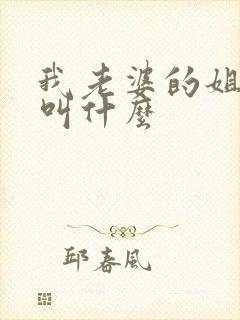 我老婆的姐姐我叫什么