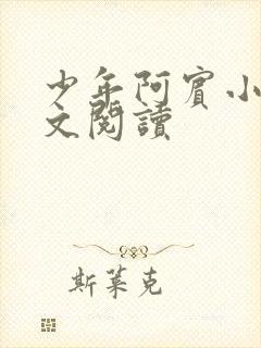 少年阿宾小说全文阅读