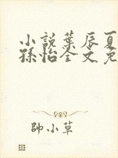 小说叶辰夏若雪孙怡全文免费阅读