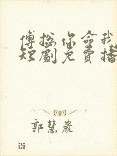 傅总你命我续上短剧免费播放