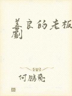 善良的老板娘韩剧封面