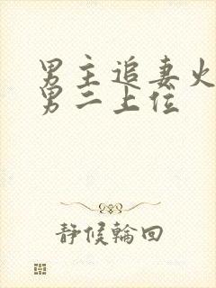 男主追妻火葬场男二上位