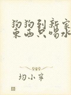 狗狗到新家不吃东西只喝水还呕吐封面