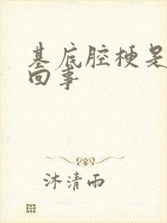 基底腔梗是怎么回事封面