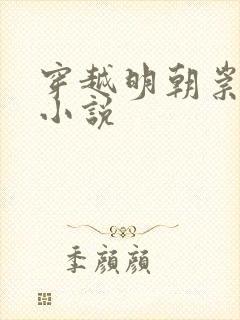 穿越明朝崇祯的小说封面