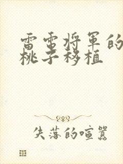 雷电将军的惩罚桃子移植封面