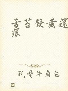 舌苔发黄还有齿痕