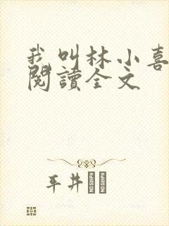 我叫林小喜免费阅读全文