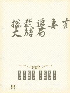 总裁追妻有点甜大结局