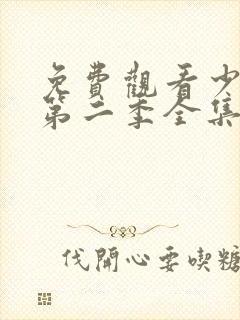 免费观看少年派第二季全集