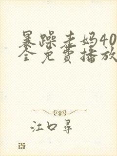 暴躁老妈40集全免费播放电视剧