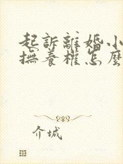 起诉离婚小孩的抚养权怎么判