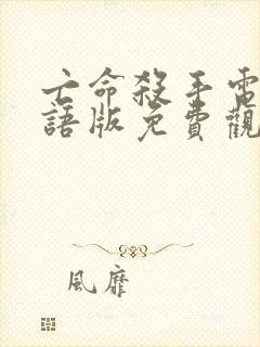 亡命杀手电影国语版免费观看