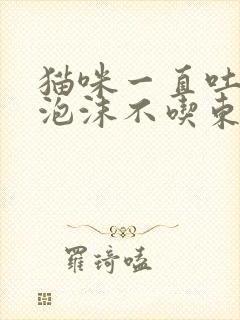 猫咪一直吐白色泡沫不吃东西