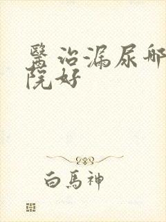 医治漏尿哪个医院好