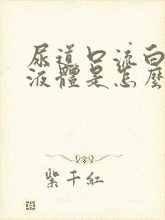 尿道口流白色的液体是怎么回事