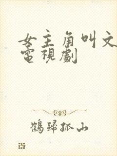 女主角叫文慧的电视剧