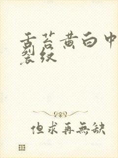 舌苔黄白中间有裂纹