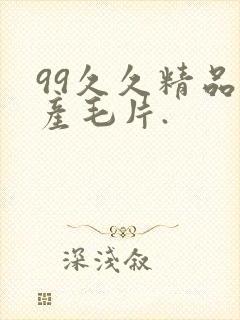 99久久精品国产毛片.