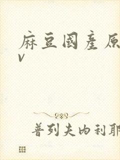 麻豆国产原创av封面