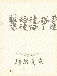 离婚后,总裁老婆后悔了连载