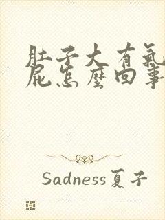 肚子大有气爱放屁怎么回事