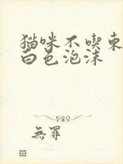 猫咪不吃东西吐白色泡沫