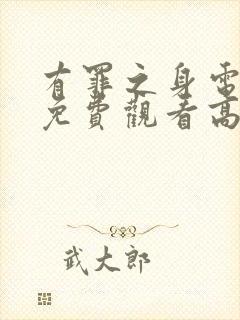 有罪之身电视剧免费观看高清在线封面