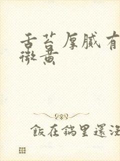 舌苔厚腻有裂纹微黄